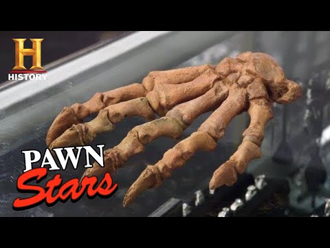 Pawn Stars: PREHISTORIC CAVE BEAR FOSSIL Is Over 10,000 Years Old (Season 17) | History