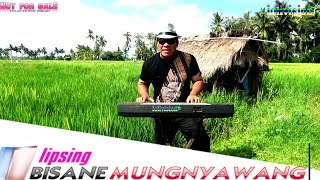 Download lagu 'Bisane Mung Nyawang' lipsing by lolivision mp3