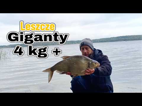 The best bream fishing spot in Poland! 🎣 Feeder fishing trip to Dzierżno Duże!