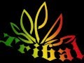 Tribal Seeds - Night Raver  (reggae)