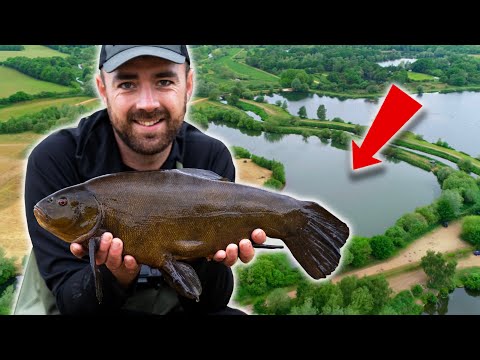 Time For TENCH - Gravel Pit Tench Fishing!