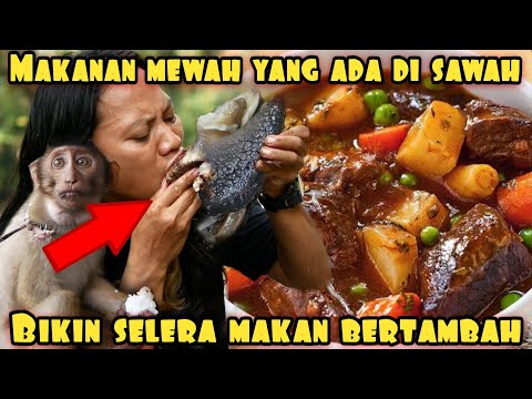 BERBURU MAKANAN MEWAH YANG ADA DI SAWAH BARENG SI NONI