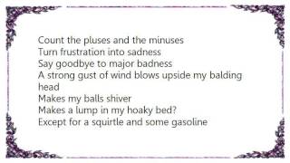 Lambchop - The Old Fat Robin Alternate Version Lyrics