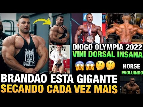 BRANDÃO ABSURDO (ENORME E SECANDO) - DIOGO QUALIFICADO PARA O OLYMPIA 2022 - DORSAL DO VINI E MAIS