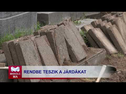 Videó előnézet