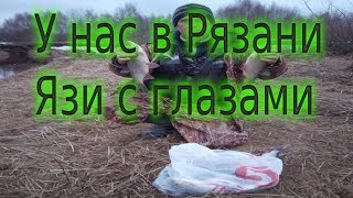 Рыбалка в клепиковском районе рязанской области