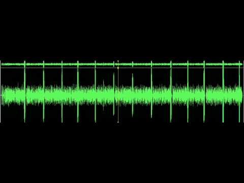 The ASSumption Song - Tourettes Version