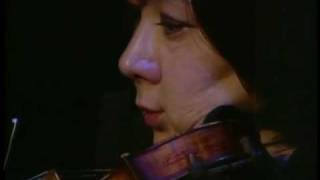 The Trees They Grow So High