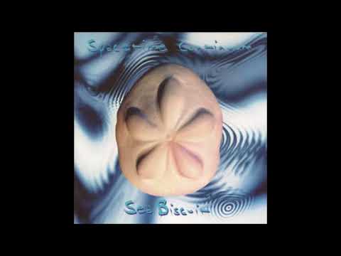 Spacetime Continuum ‎– Sea Biscuit (Album, 1994)