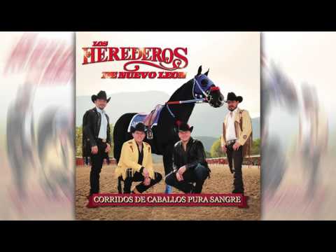 Los Herederos de Nuevo León - El Texano y El Machete ( Audio Oficial )