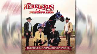 Los Herederos de Nuevo León - El Texano y El Machete ( Audio Oficial )