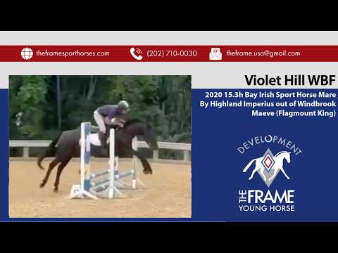 Violet video 5