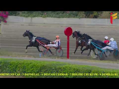 VI Corsa del 29 giugno 2022 - 3 Anni - Metri 2000/2020 - Gara centrale