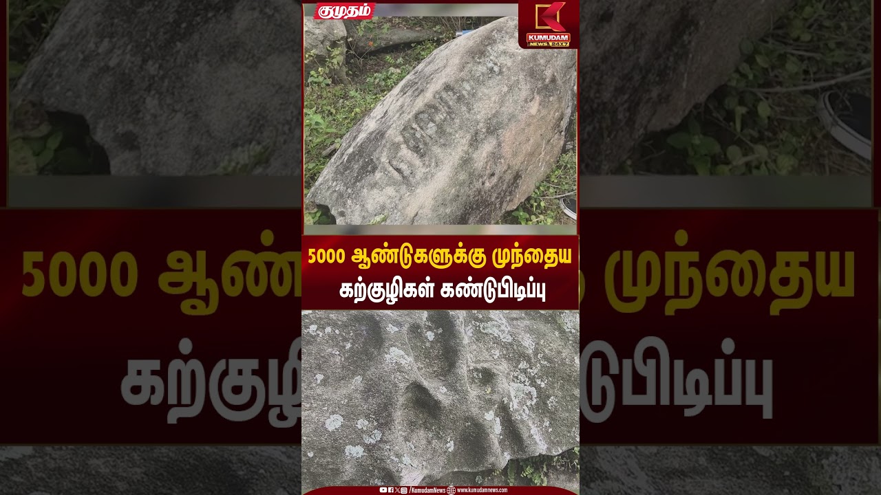 5000 ஆண்டுகளுக்கு முந்தைய கற்குழிகள் கண்டுபிடிப்பு | Ancient Fossils | Kumudam News