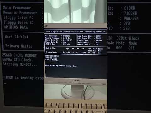 Living the 90s (MS-DOS)