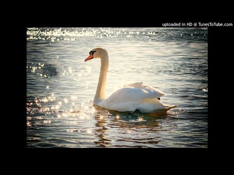 Miniatura de Hasta el final del mundo (De ”La princesa cisne”) [Versión de 2023]