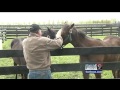 Journeyman Parma horseman earns shot at Derby