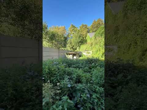 Vidéo