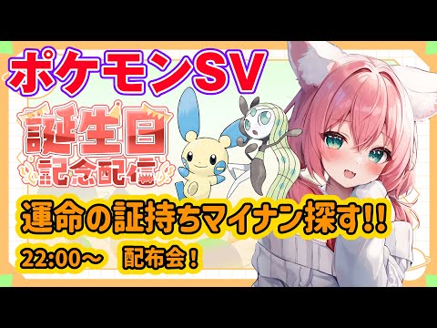【ポケモンSV】誕生日なので3番目に好きなマイナンの運命の証持ちを探す🎃+22時から配布あるよ【紅衣あずさ/VTuber】#紅衣あずさ放送局