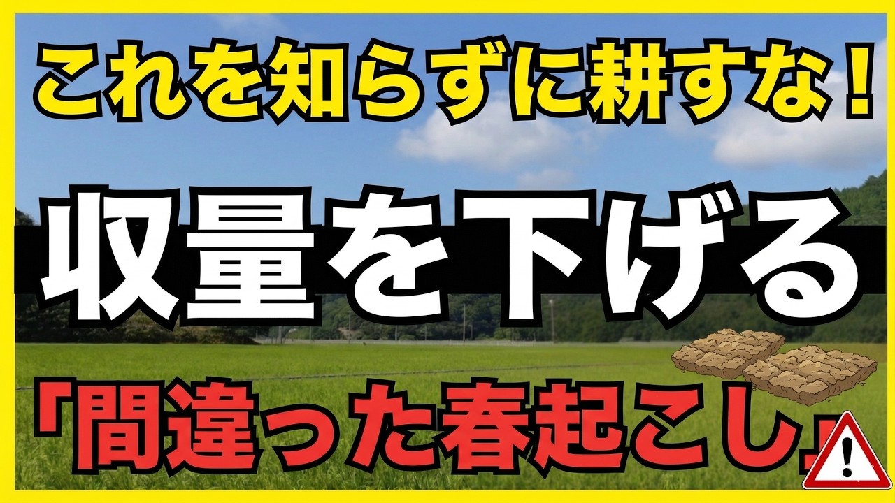 【春起こし】肥料代を浮かせて過去最高の収穫へ！米作りプロが教える「天然の貯金」活用術