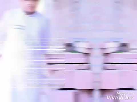 tabis sh ke birthday