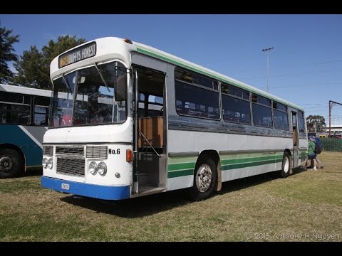 Forest Coach Lines [Terrey Hills] Leyland Panther / Custom Coaches Euro, 52435-H [Preserved]
