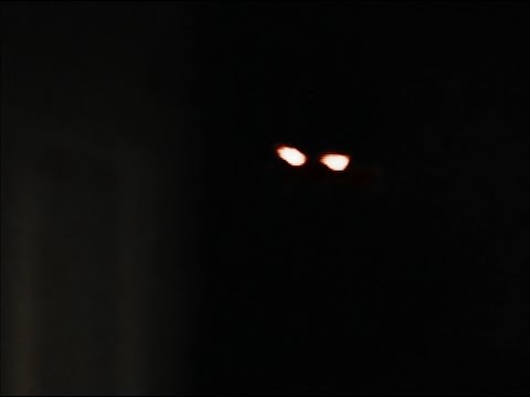 ABBATIA - Qwyzod (Official Music Video)