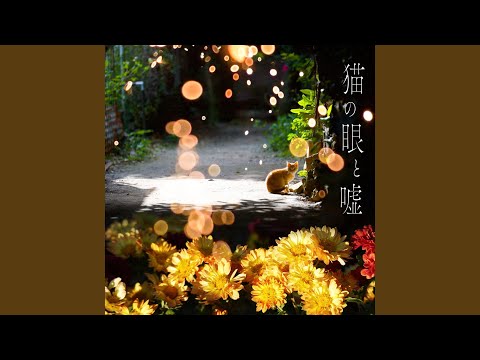 猫の眼と嘘(Re-recorded) / 猫のおなか