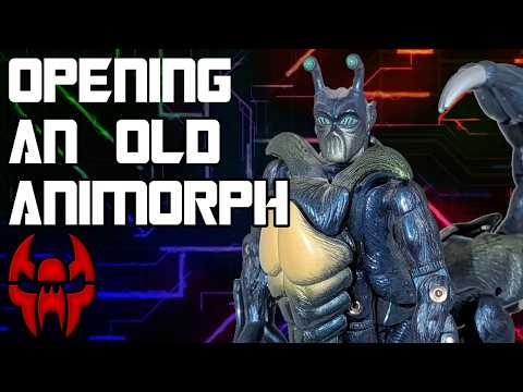 Opening A 26 Year Old Animorph Transformer