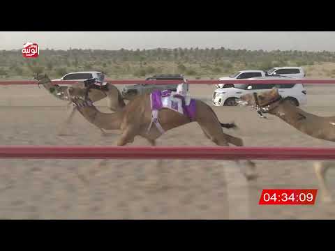  ش 8 (الوارية) لـ سعيد محمد بن مبارك الخييلي 6:48 ، شارة الشيخ طحنون 2026/8/23 لقايا الخزنة