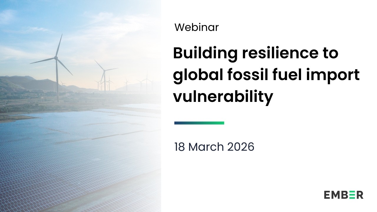 Building resilience to fossil fuel import vulnerabilities