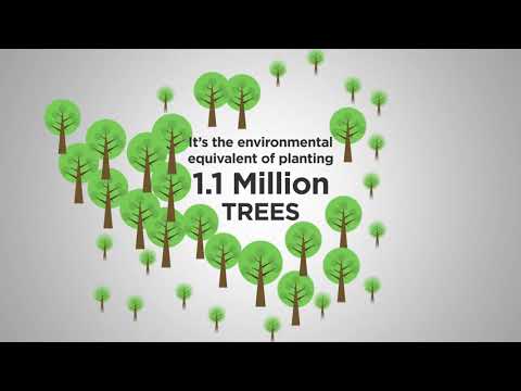 20percent trees 190401