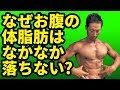 なぜお腹の体脂肪はなかなか落ちないのか?なぜお腹に体脂肪がつくのか?