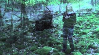 Flashbacks by Elizabeth Jerome