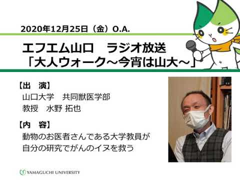 動物のお医者さんである大学教員が自分の研究でがんのイヌを救う　山口大学共同獣医学部　水野 拓也 教授（20.12.25 O.A.）【山口大学／大人ウォーク～今宵は山大～】