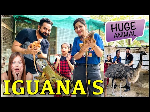 A Day with these 😱 Amazing *EXOTIC* Animals @PULKITvAmp | Harpreet SDC