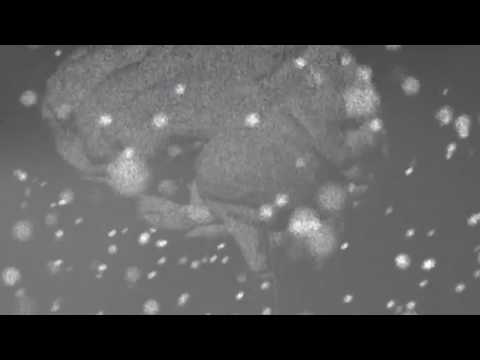 Adam Beyer Live from Input, Barcelona [Drumcode Radio Live / DCR357] Part 1/2