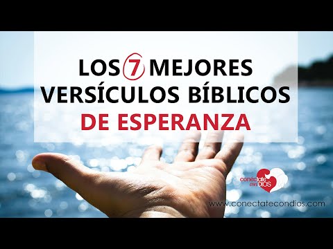 🌾 The 7 Best Bible Verses of Hope (Bible Verses of Faith and Hope)