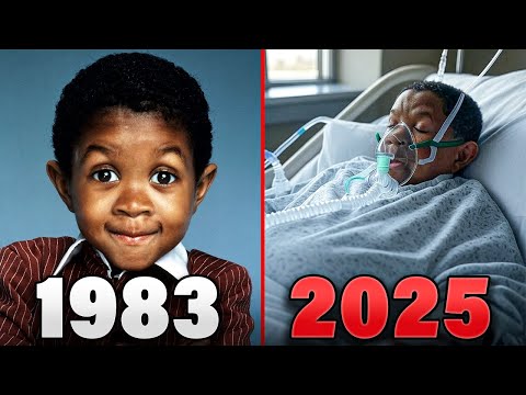 Try Not to Cry When You See What Happened to Webster Cast