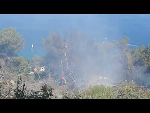 Bordighera, incendio boschivo sul Montenero: soccorsi in corso
