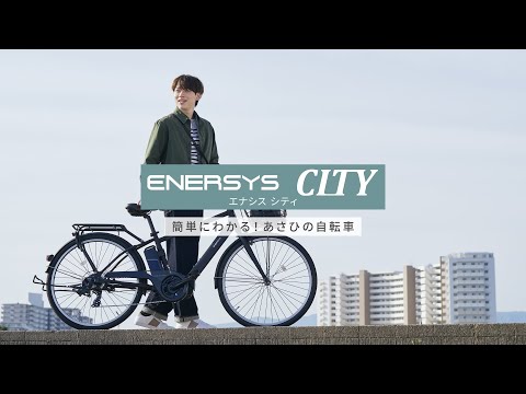 27.5型 電動アシスト自転車 エナシスシティ ENERSYS CITY マット