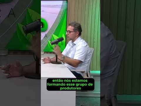 Teste de aplicativo que reconhece gado pelo focinho vai levar 1 ano