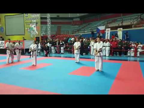 Echipa de aur la kata sincron - Campionatul Mondial , Montecatini Terme, Italia 2017