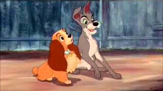 Lady and the Tramp Ever Chased Chicken