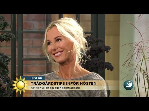 Trädgårdsexperten svarar på tittarfrågor - Nyhetsmorgon (TV4)