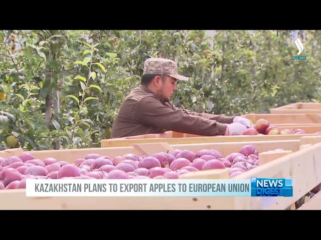 Алматы апорту эл аралык брендге айланат