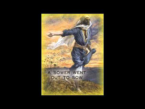 Fifteenth Sunday in Ordinary Time 7/13/2014