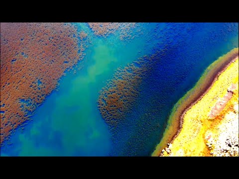 Jody Wisternoff feat. Mimi Page - For Those We Knew