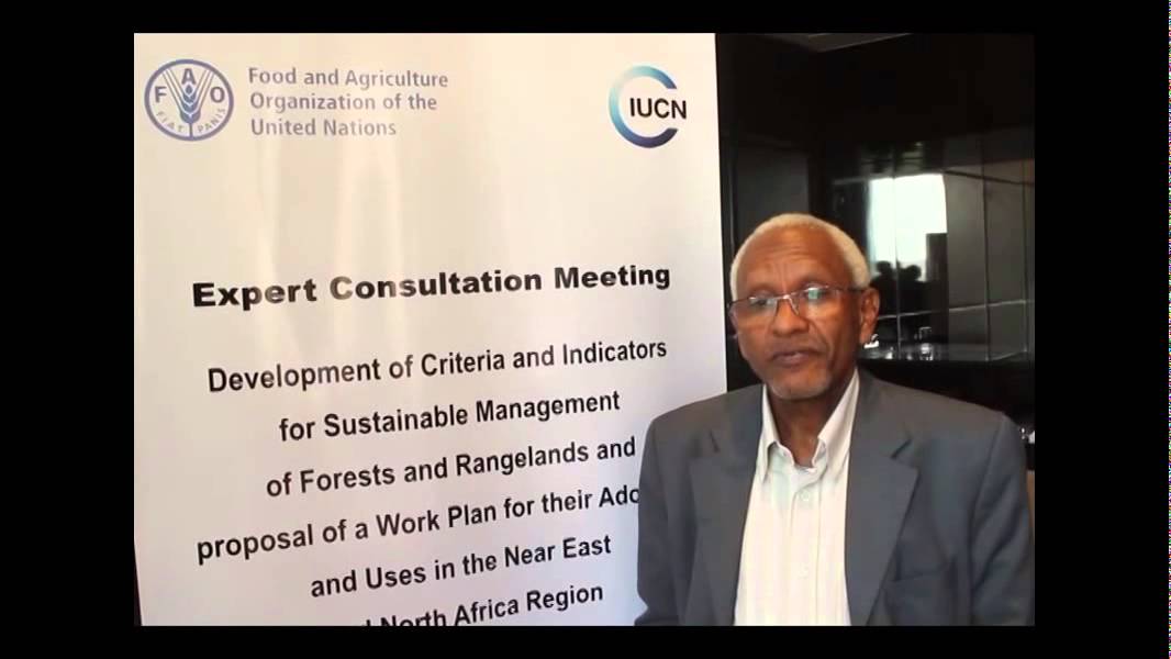 Criteria and Indicators for sustainable forest management