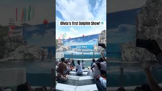 Olivia’s first Dolphin Show🐬 #olivia #dolphin #safariworld